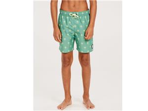 Protest Zwemshort palm green